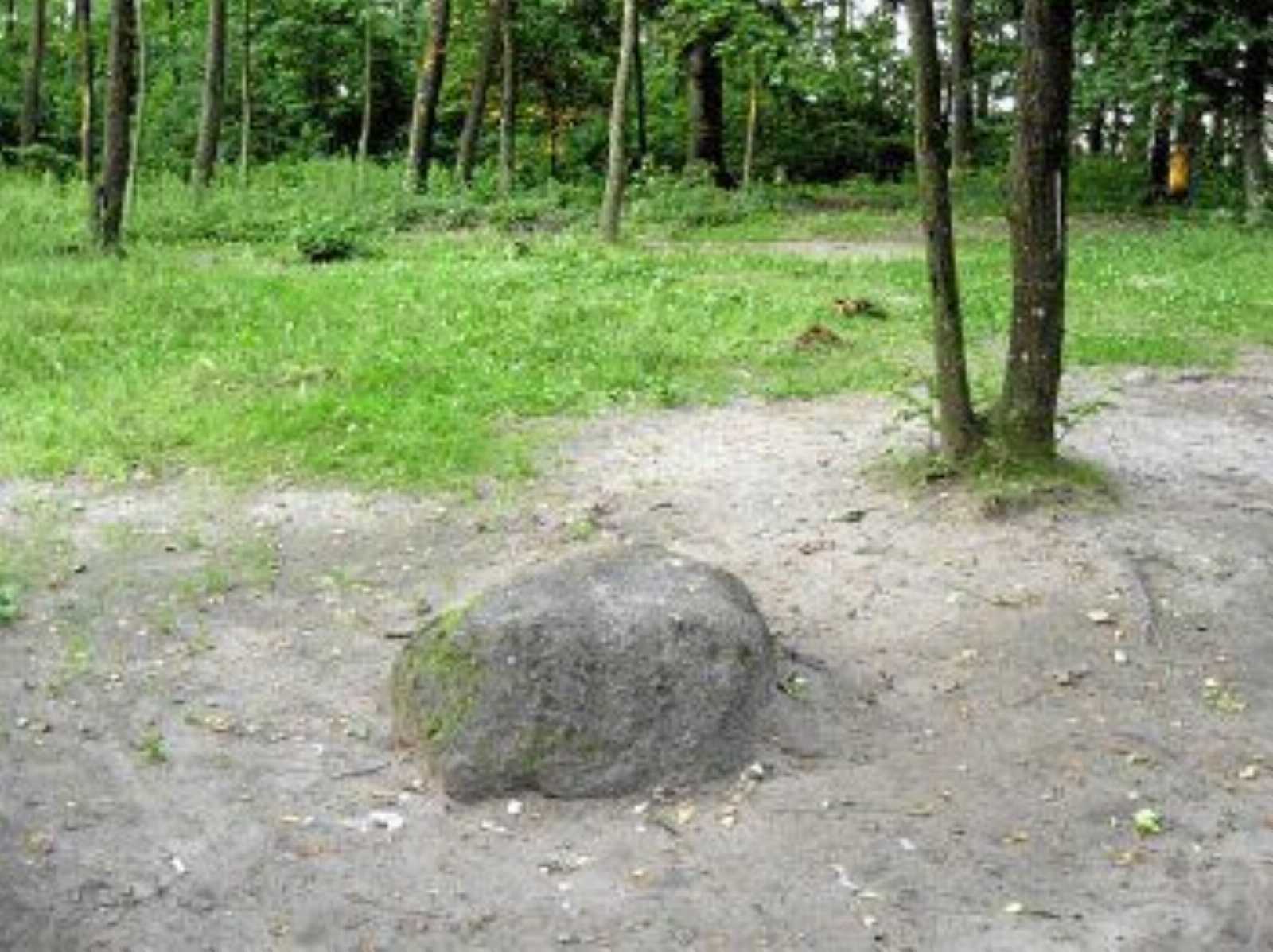 Камень Мицкевича