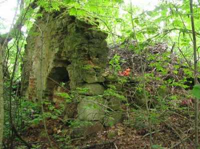 Склеп-усыпальница Свенторжецких (руины)