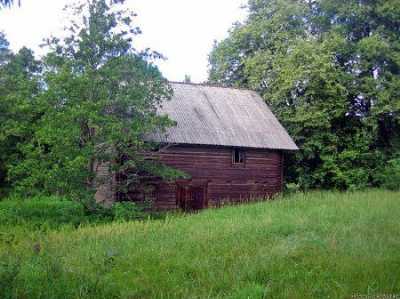 Водяная мельница (дерев.)