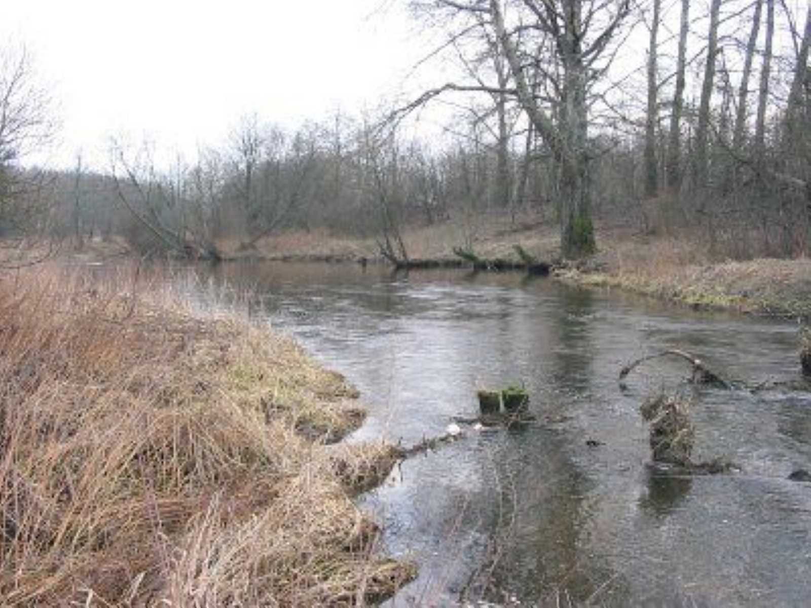 Река Ошмянка