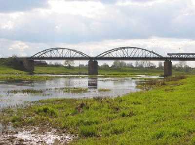 Мост через Дисну