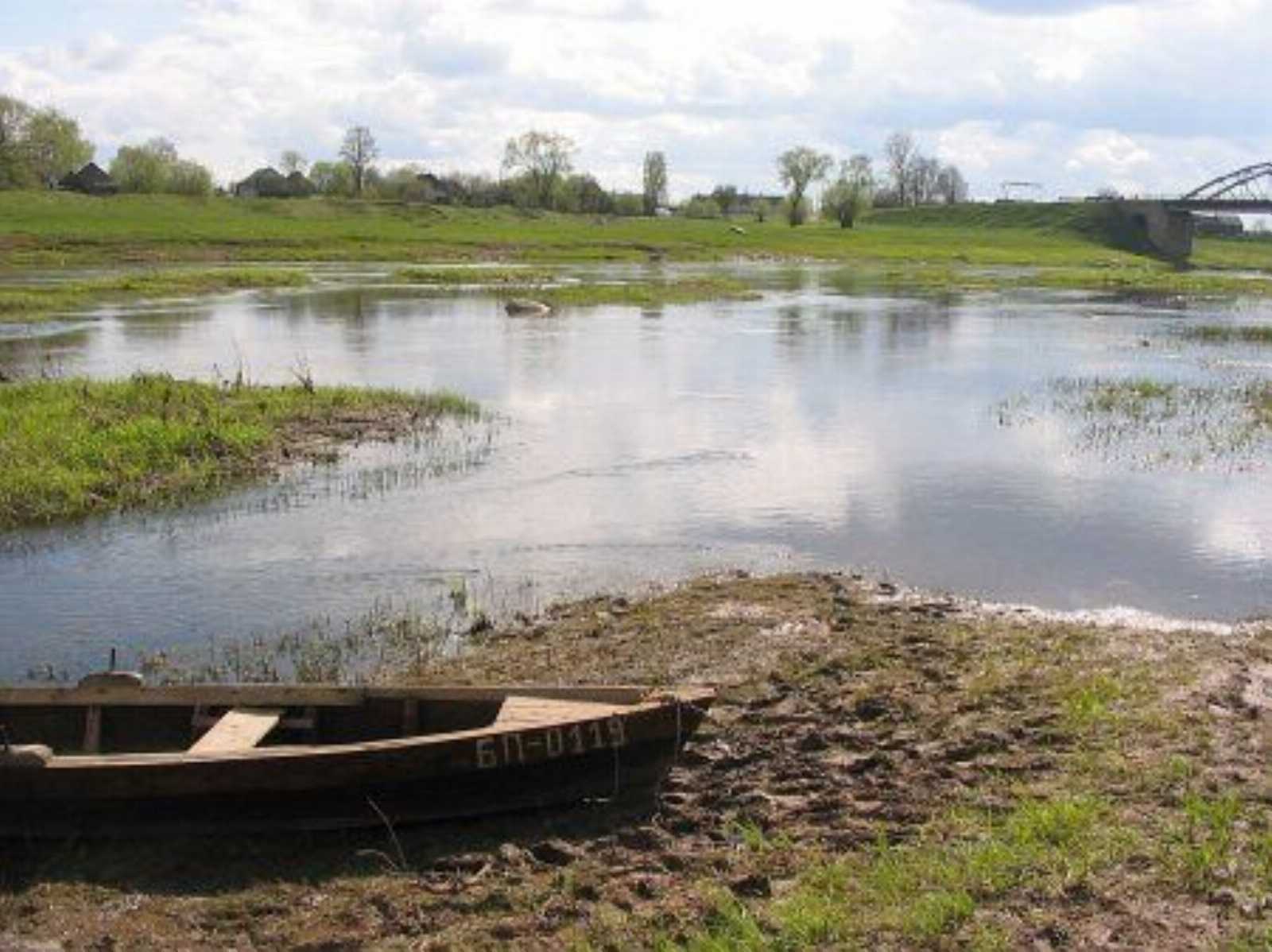 Погода в дисне