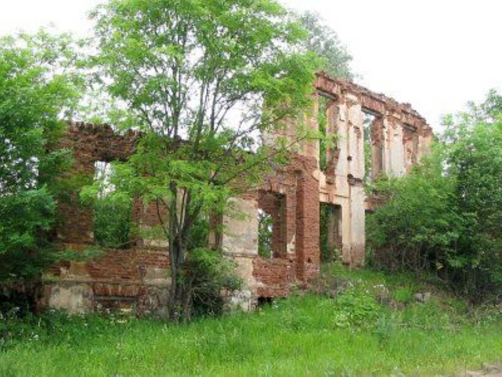 Усадебный дом (руины)