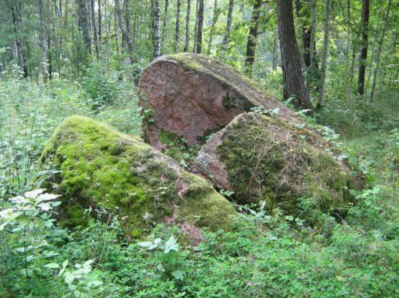 Валун Камень Пасутичский
