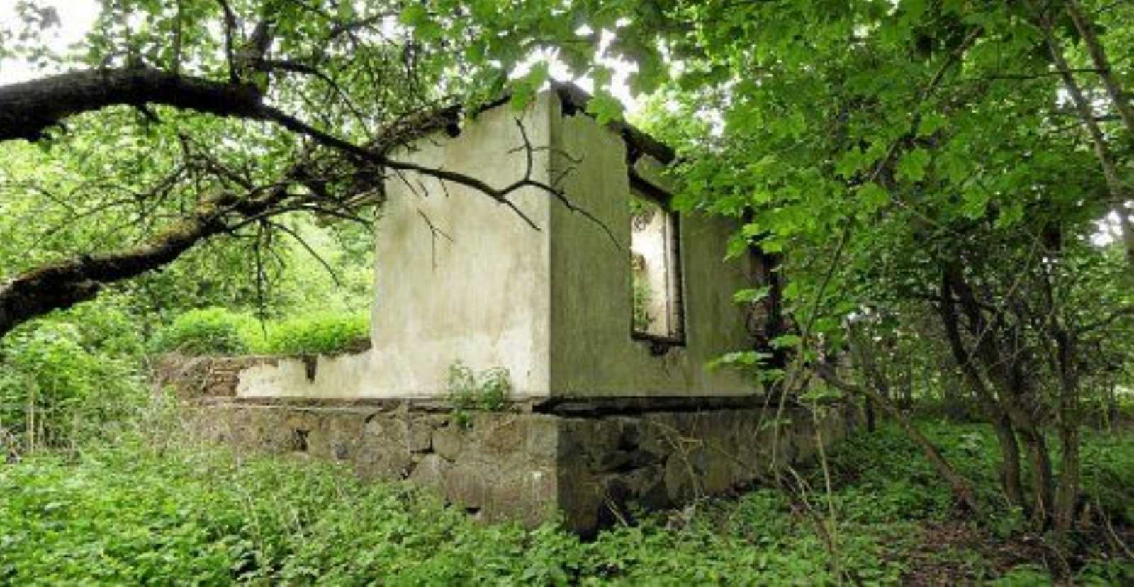 Усадебный дом (руины)