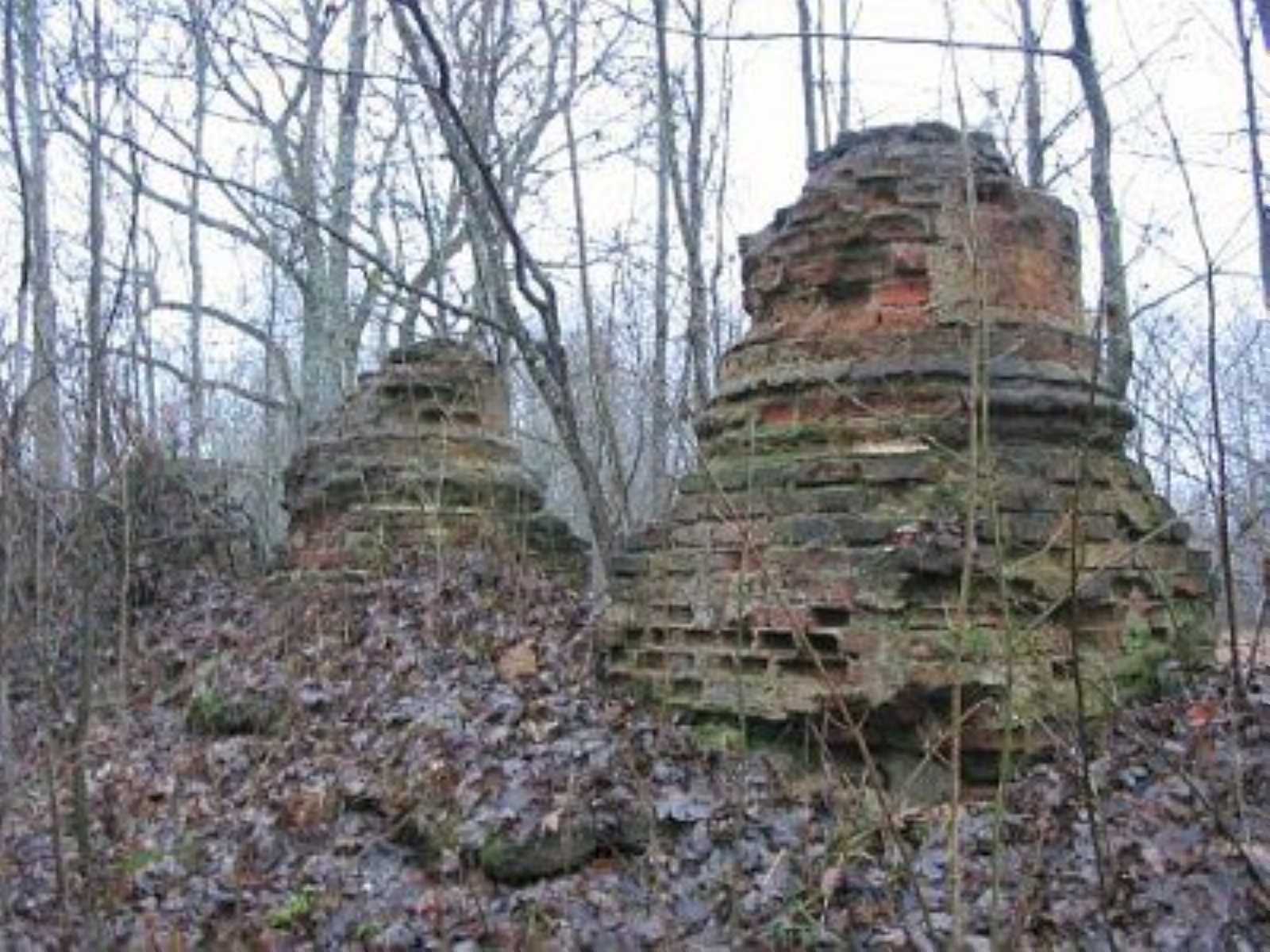 Усадебный дом /сохр. части колонн/