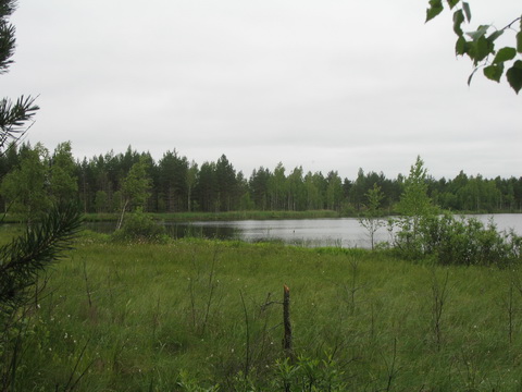IMG_3648_photo0.jpg