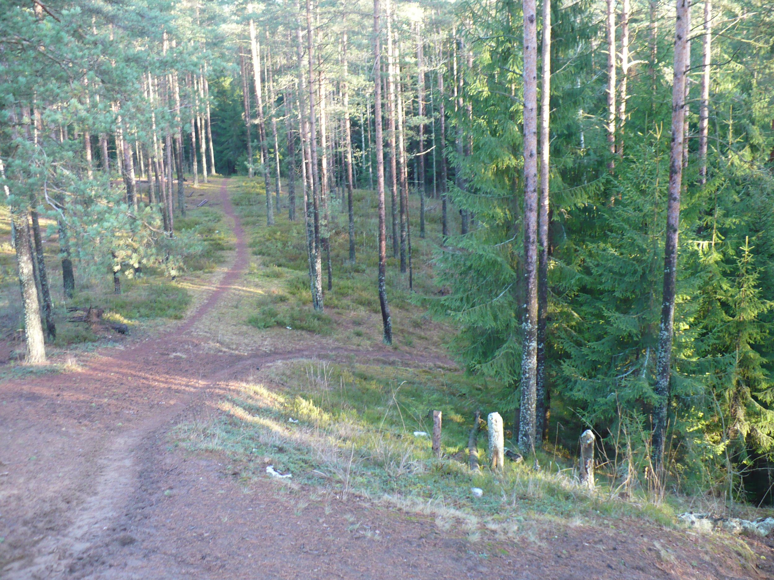 P1120821.JPG