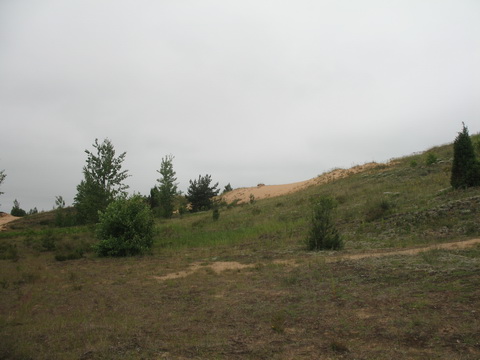 IMG_3669_photo3.jpg