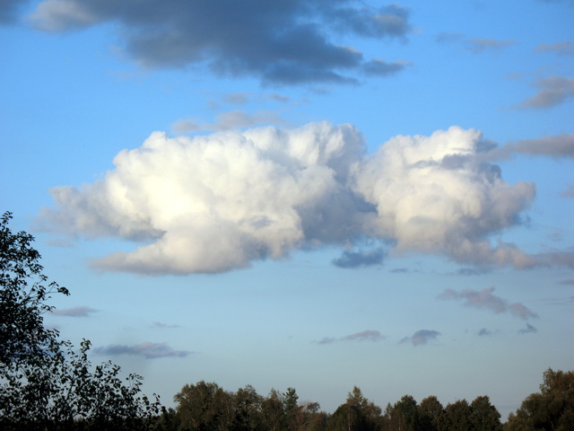 IMG_3250_res.jpg