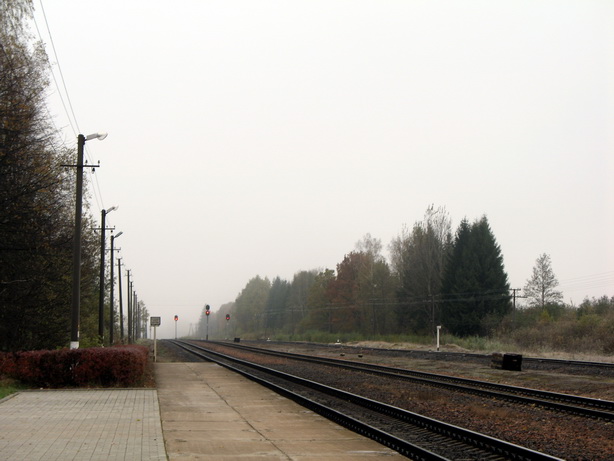 IMG_6612_res.jpg