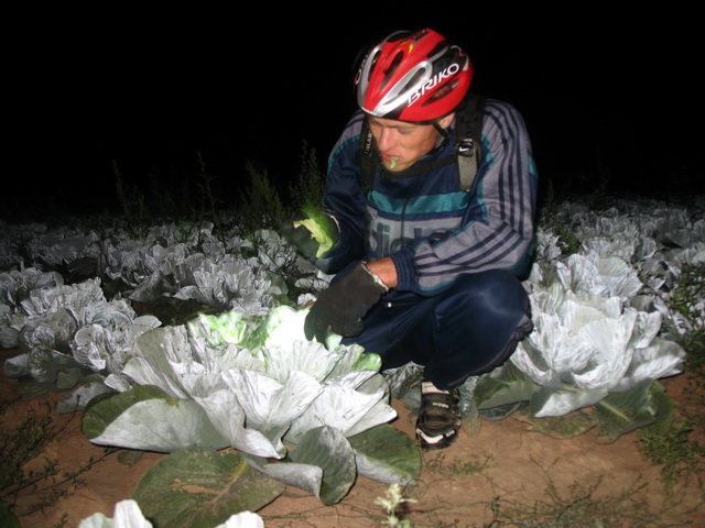 IMG_8385_res.jpg