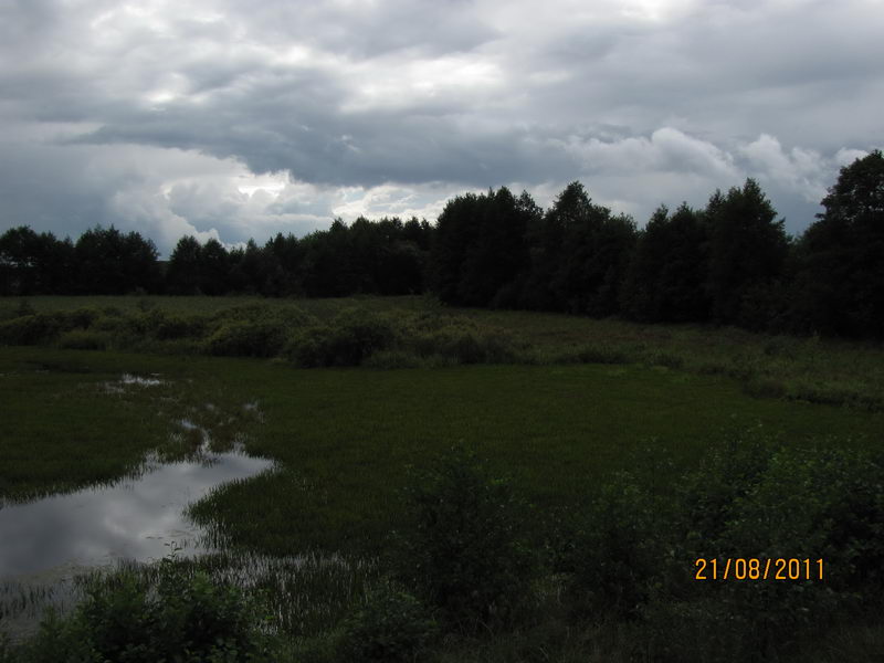 IMG_0545_.jpg