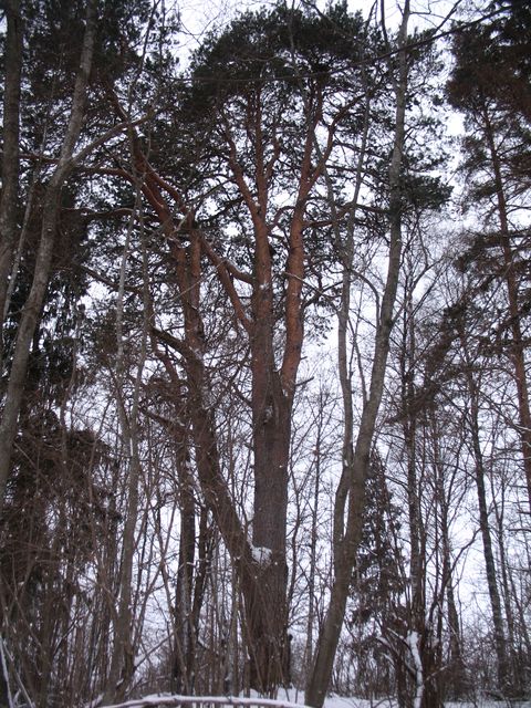 IMG_9463.jpg
