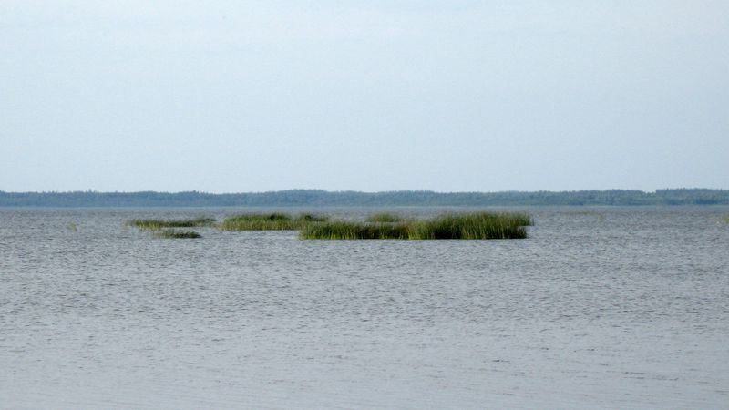IMG_1672.jpg