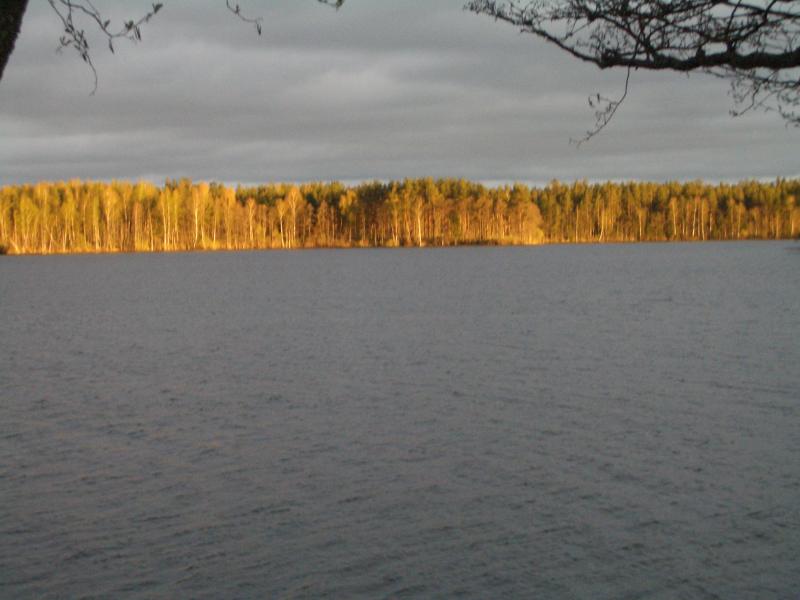 CIMG9025.jpg