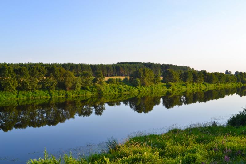 DSC_9824.jpg