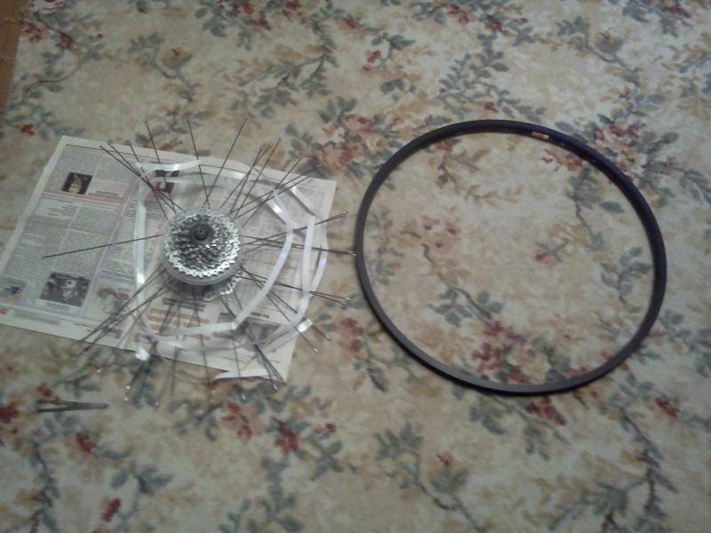 IMG20130221_001.jpg