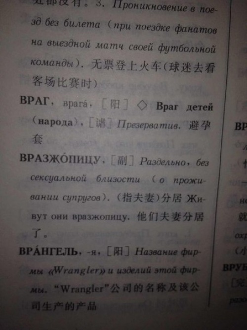 3865955-r3l8t8d-500-b_tsxdlqddg-1.jpg