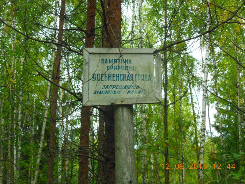 DSCN7421.JPG