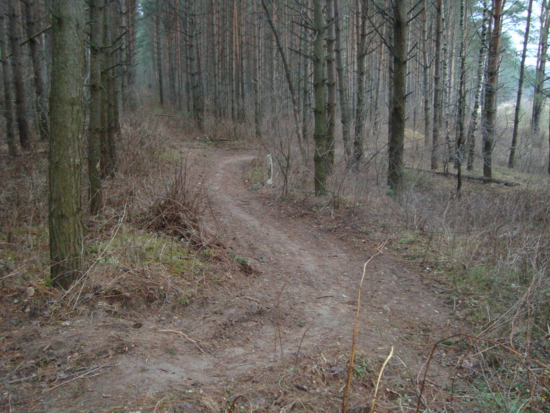 DSC00135.jpg