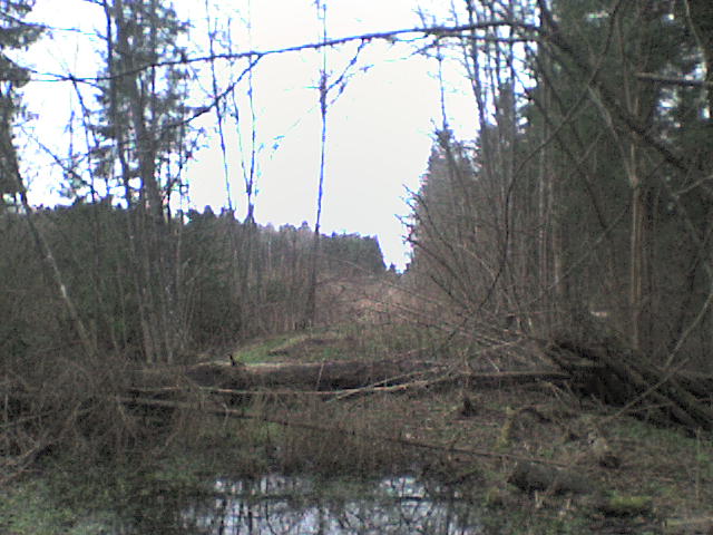 DSC00418.JPG
