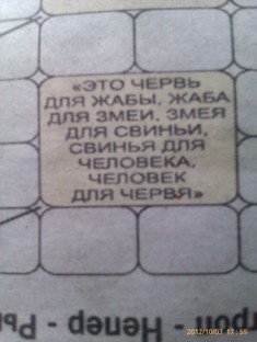 tsepochka_2.jpg