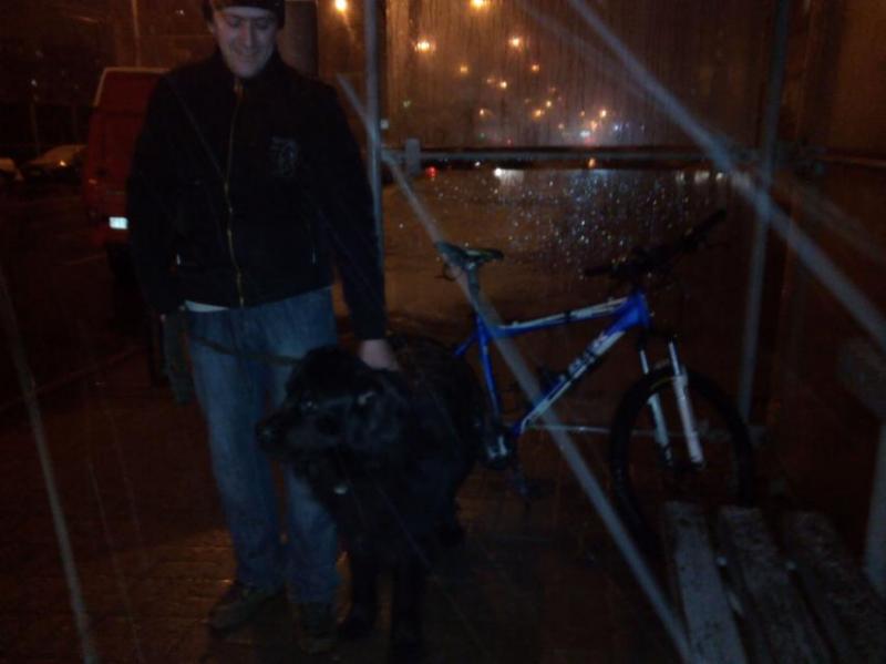 club_dog.jpg