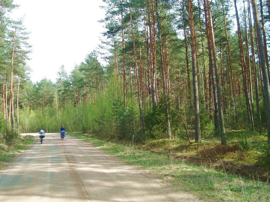 гравейка в налибоках.jpg