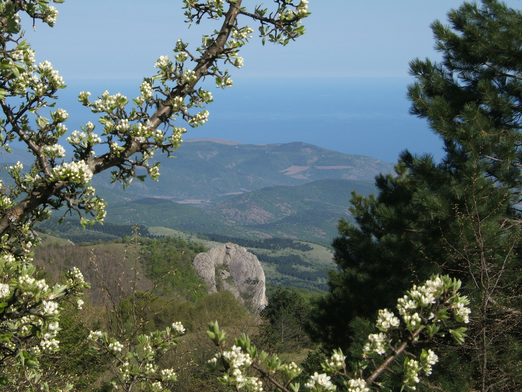 Dscf4188.jpg