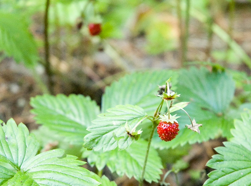 DSC_0317.jpg