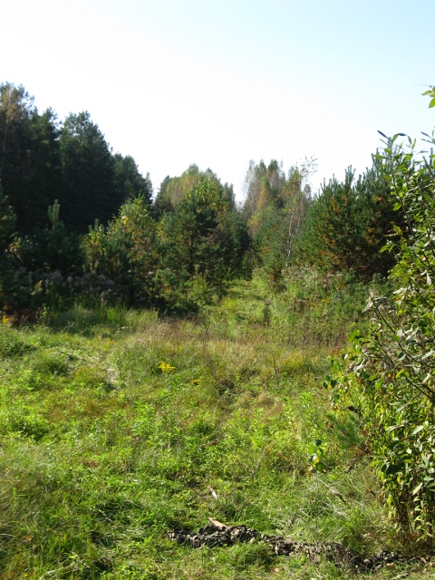 img_20100925.jpg