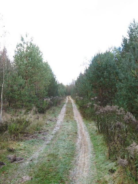 20101017_1.jpg