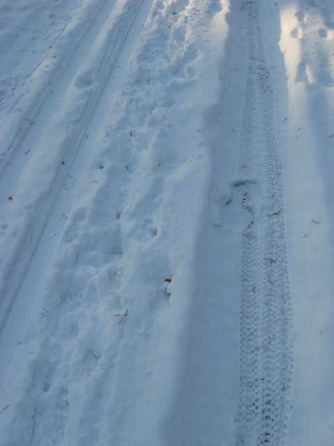 20101211_i.jpg