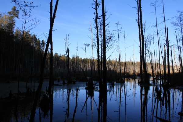 fot_0951.jpg