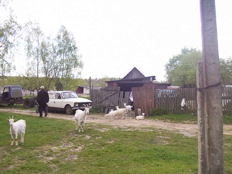 DCP_0101.jpg