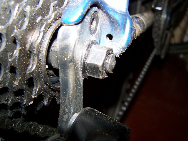 100_0411.jpg