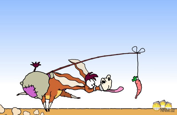1252217432_donkey.jpg
