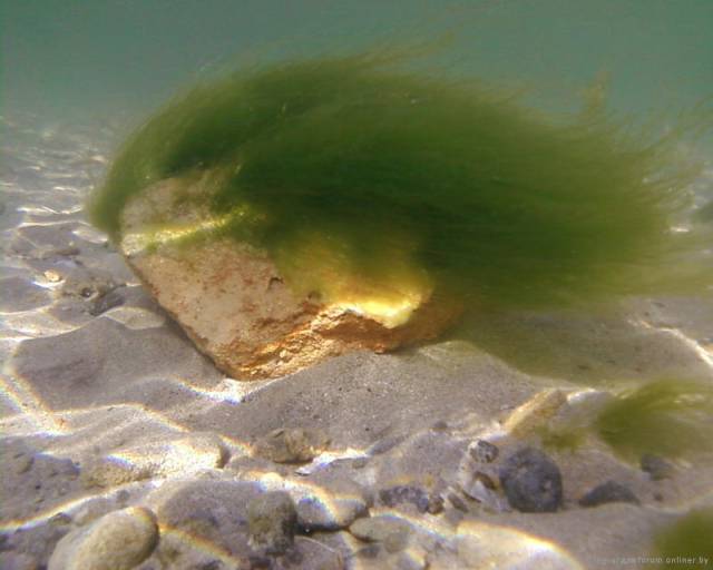 under_water_1.jpg