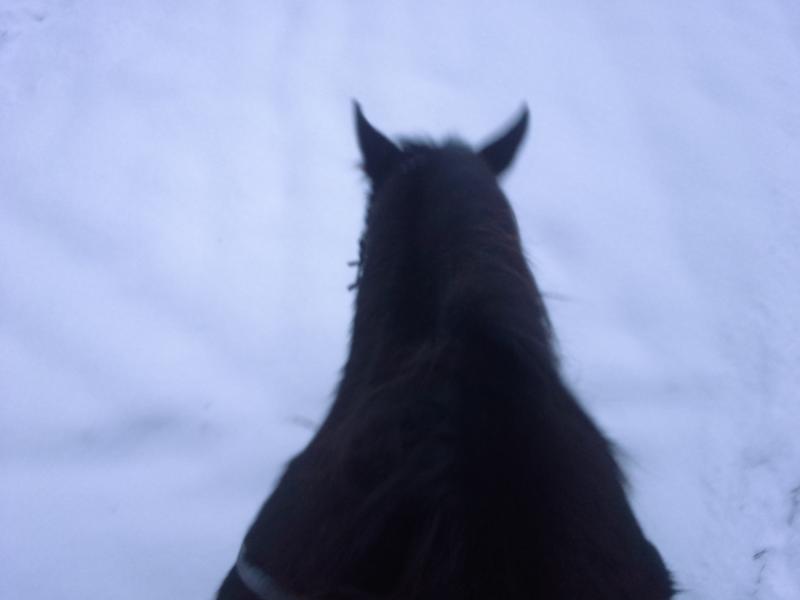 20160110_165324.jpg