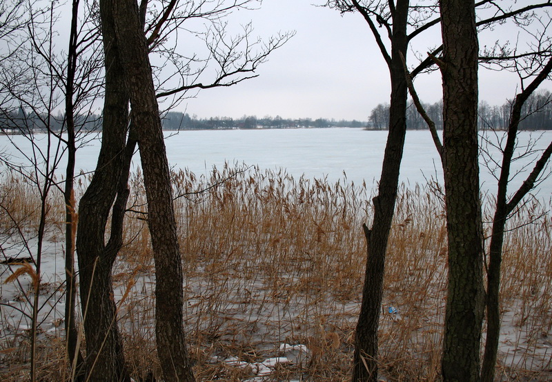 IMG_0156x.JPG