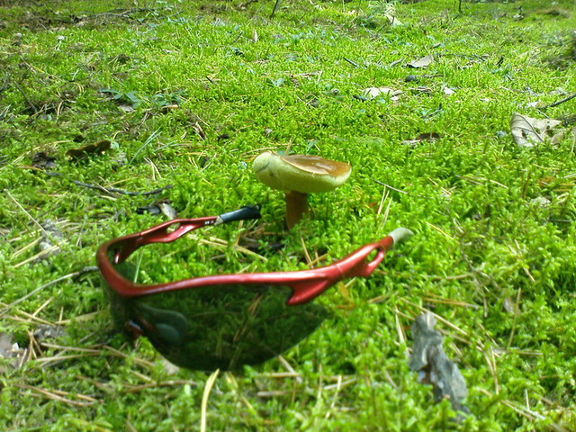 DSC00158_.jpg