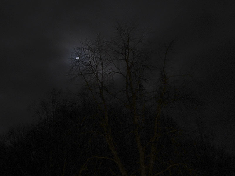 IMG_6924_4.jpg
