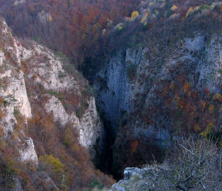 Izobrazhenie_566.jpg