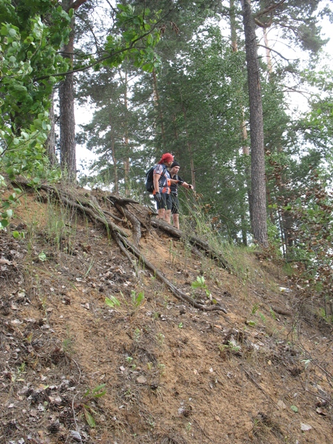 IMG_2_3.jpg