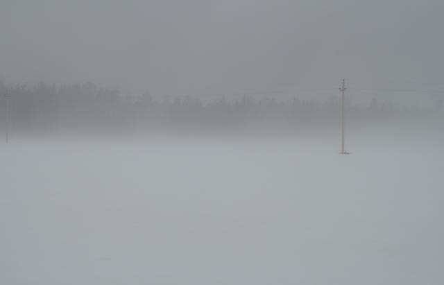 _MG_4305.jpg