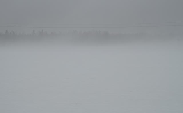 _MG_4307.jpg