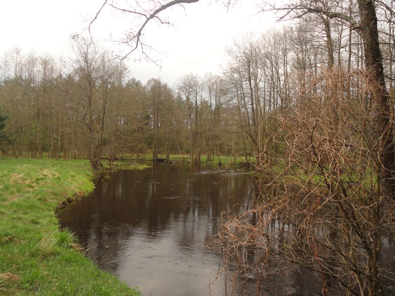 1._stoyanka_1.JPG