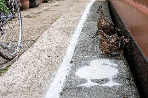 lane-duck-path-london-sharethespace-7.jpg