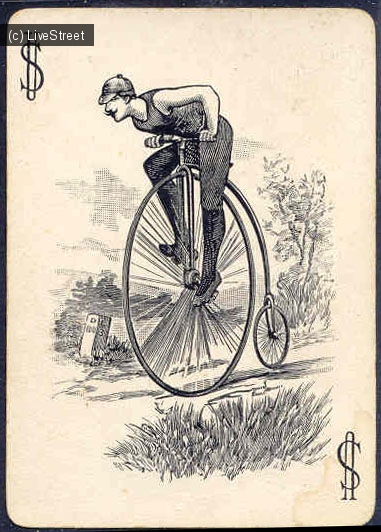 7b5fd6.jpg